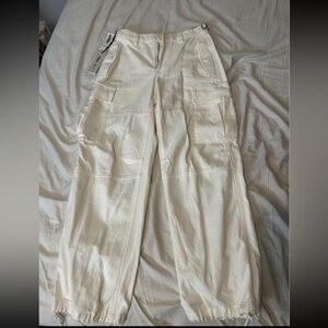 Aritzia cargo supply pant
